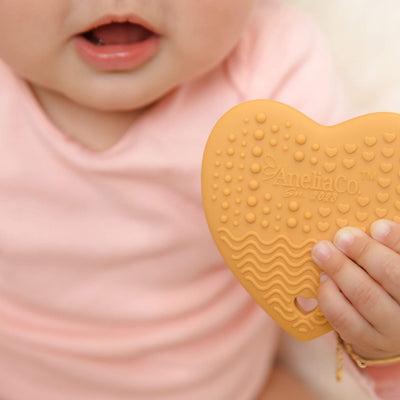 Concha Teether