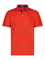 Polos de Independencia