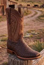 Men's Cowboy Boots