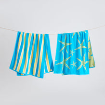 blue-yellow-starfish-stripe