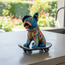 Talavera Frenchie Statue | Colorful Skateboarding Bulldog Art