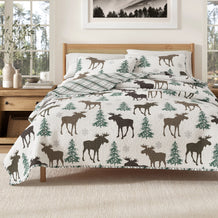 moose-chocolate