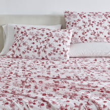jolly-floral